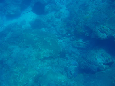 o-049 o-049